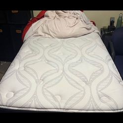 Twin Bed And Bedframe