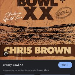 Chris Brown Breezy Bowl