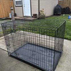 Dog Kennel 