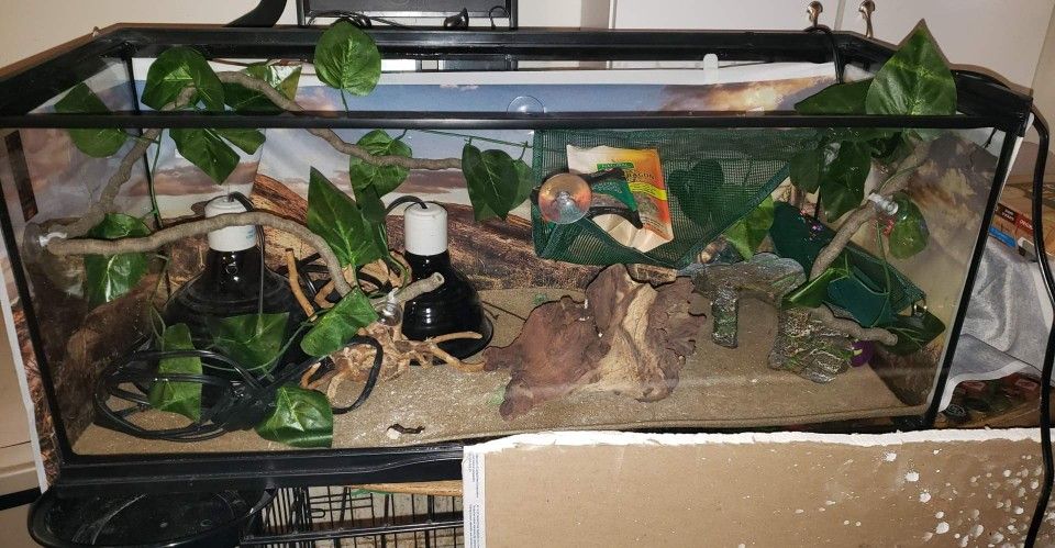 Reptile Enclosure 