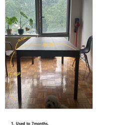 Large Table, Outdoor Chair