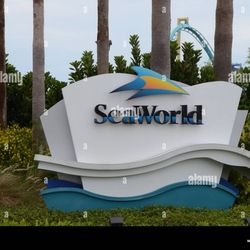 Seaworld, Busch Gardens Day Passes 