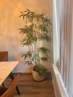 6ft Artificial Bamboo Tree in Woven Wicker Basket Planter — Retails ~$200