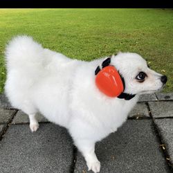 Dog Earmuffs, Protection 