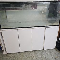 Salt Water Fish Tank 