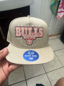 Chicago bulls snap back