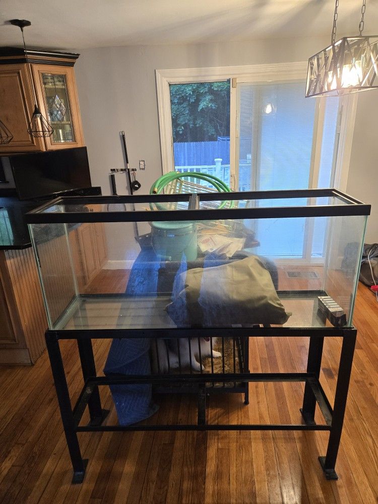 Fish Tank