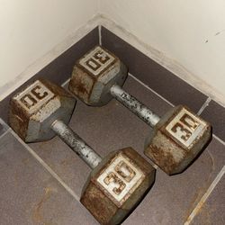 30 Pound Dumbbell