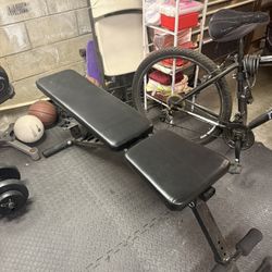 Workout Bench