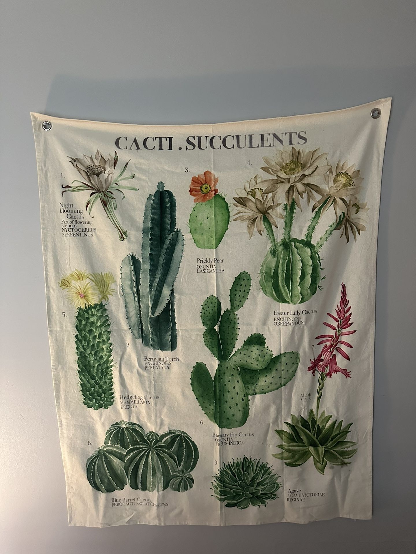 Cacti Succulents Plant Tapestry
