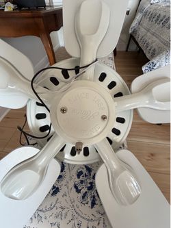 Ceiling Fan with light