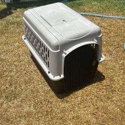 Dog Cage