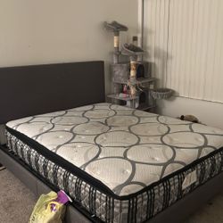 Queen Size Mattress And Bed Frame 