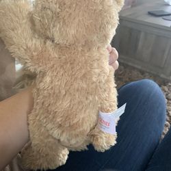 Baby Gund Peek A Boo Bear