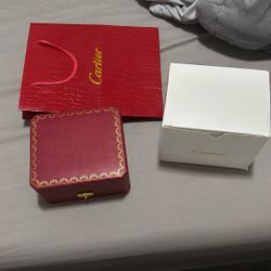 Cartier Fully iced out Skelly 