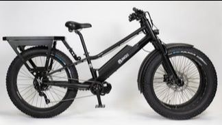 Rungu Double Wheel Ebikes