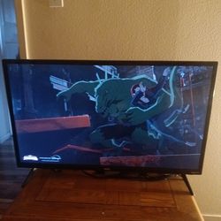 42 inch Roku Flat Screen TV