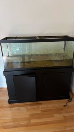 75 gallon fish tank + stand