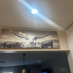 Large Western Longhorn Canvas Wall Art – Black & White