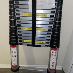 Telescoping Ladder 