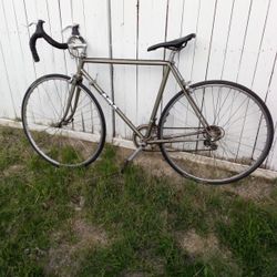 Vintage 10 Speed Bike