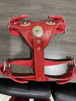 Large Dog Hardness