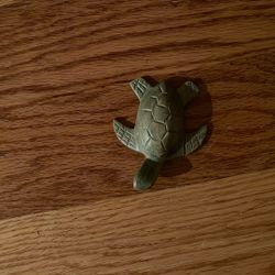 Wooden Turtle