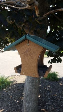 Hanging bird feeder