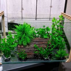 Reptile Tank 