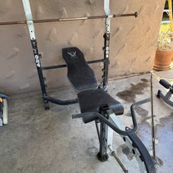 Weight bench curling Bar Plus Weights