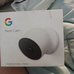 Nest Cam