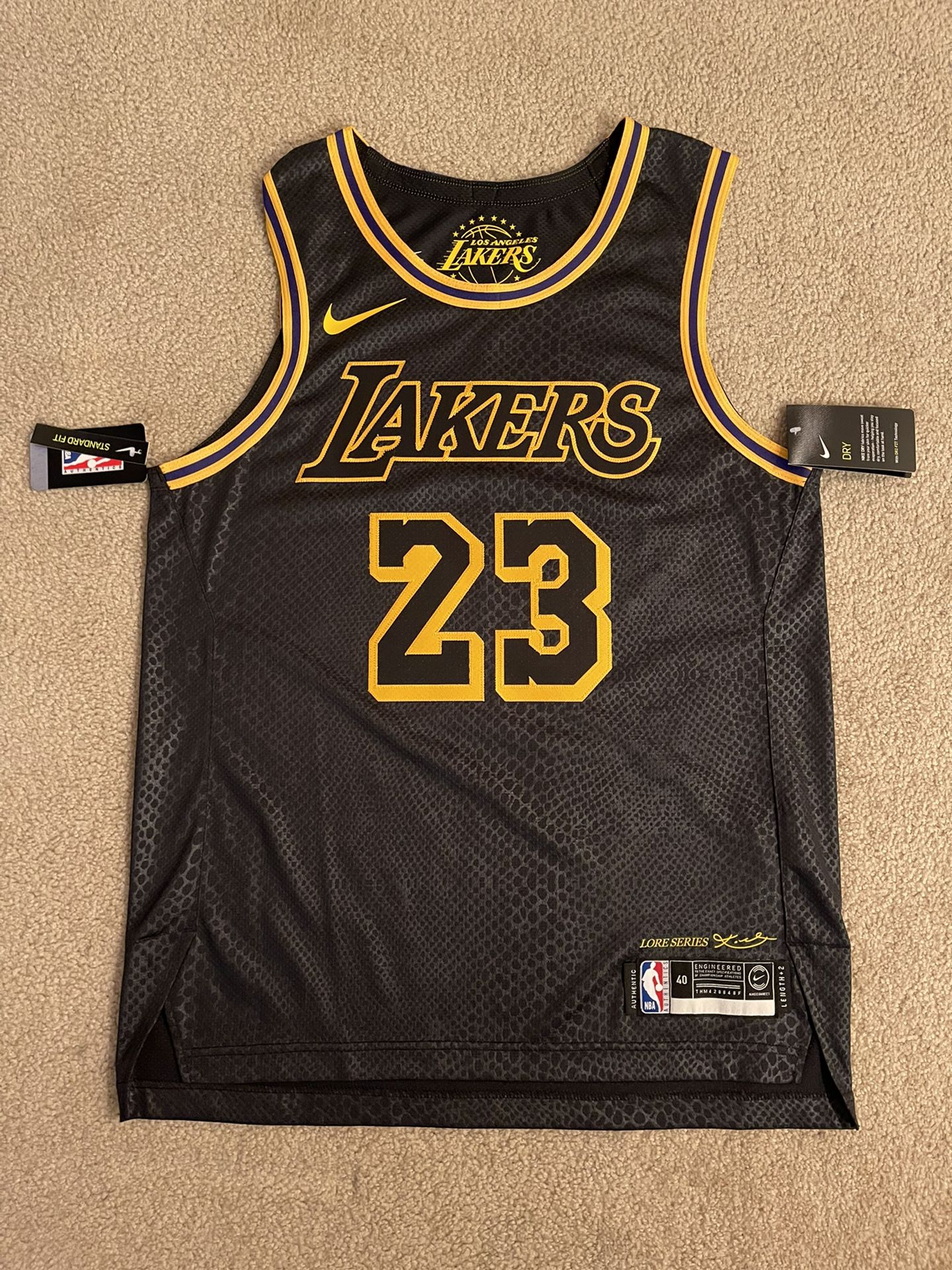 Los Angeles Lakers Black Mamba Nike Swingman City Jersey Youth - LeBron  James for Sale in Roseville, CA - OfferUp