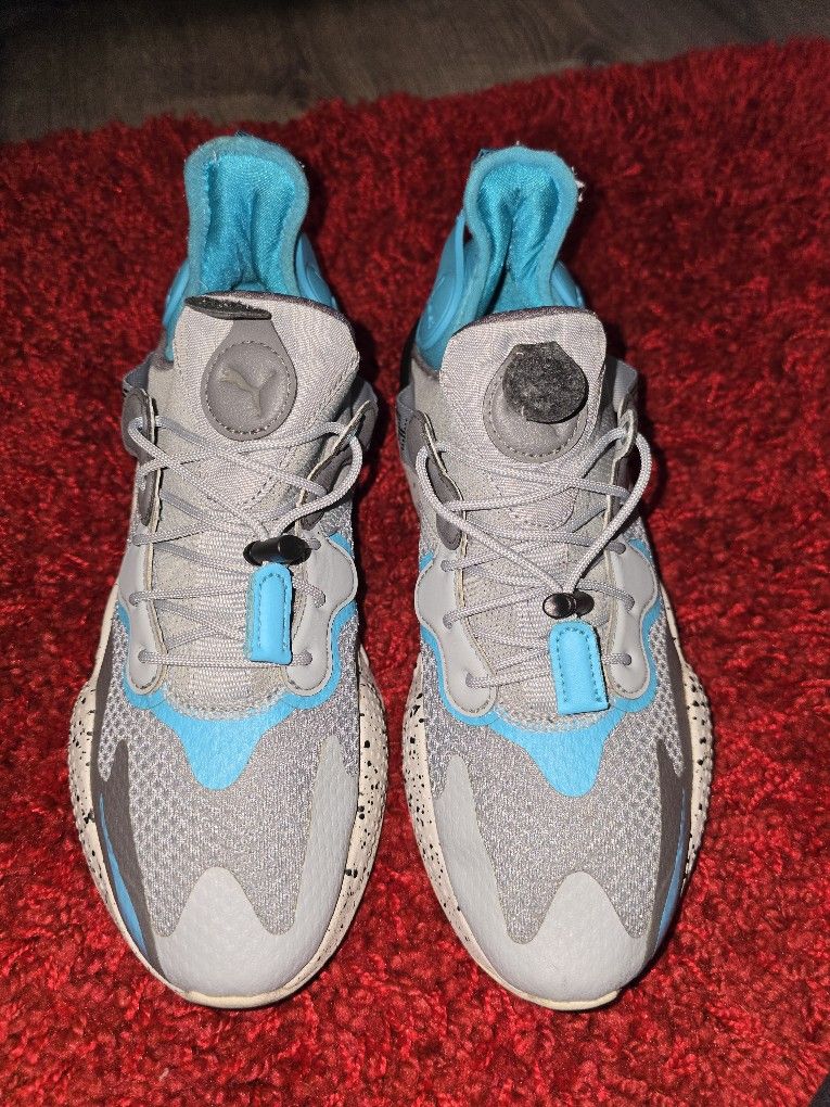Puma