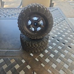 2 Large RC Tires