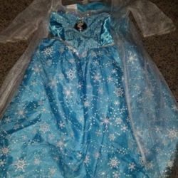 Frozen Elsa Size 4-6