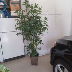 7' Fan-leafed Artificial Tree w/bronze pot