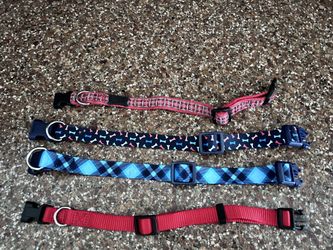 4 Dog Collars