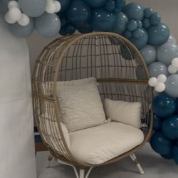 Egg Chair With Cushions 