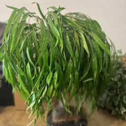 Bonsais fake Plant In Ceramic Pot