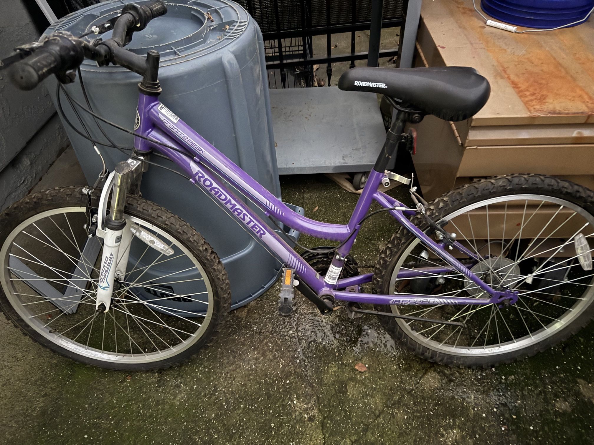 24” Girls Mountain Bike