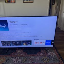65” Samsung TV 4K LED