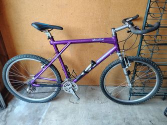 Vintage GT Ricochet Mountain Bikeb- Mid to late 90s with Alivio Components