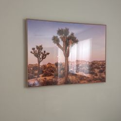 Joshua Tree Frame  30x40  