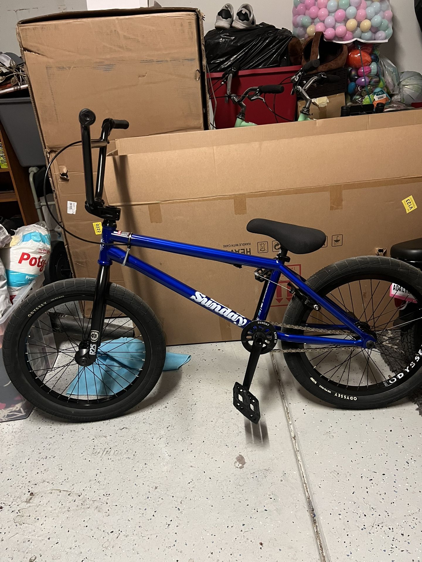 Sunday Soundwave Custtom