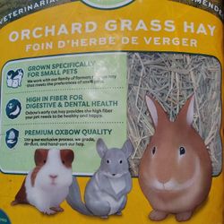 Grass Hzy Small Animals 