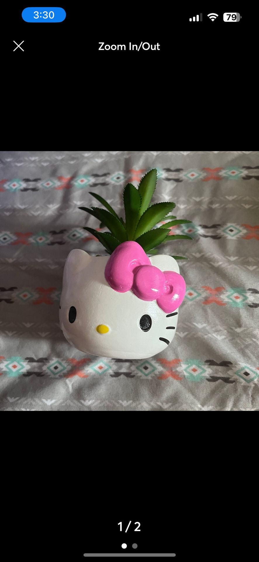 hello kitty succulent