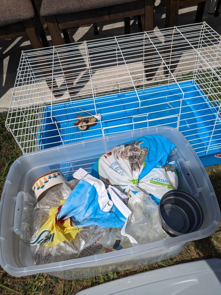 Guinea Pig Cage