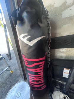 Everlast punching bag with gloves