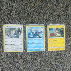 2020 Promo Holos!