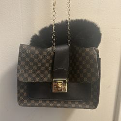 purse